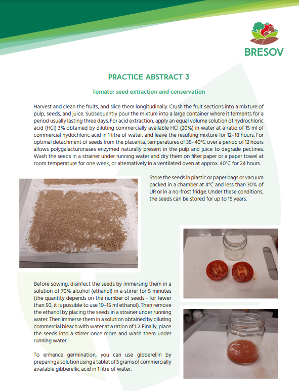 Tomato seed extraction and conservation (BRESOV Practice Abstract